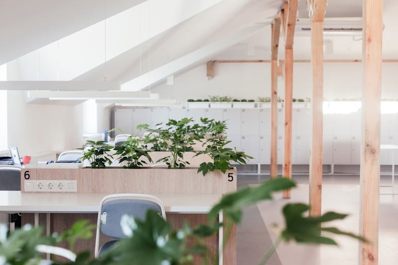 辦公室空氣品質如何影響員工生產力？